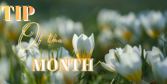 Spring Into Self-Care: Refresh Your Routine for the New Season